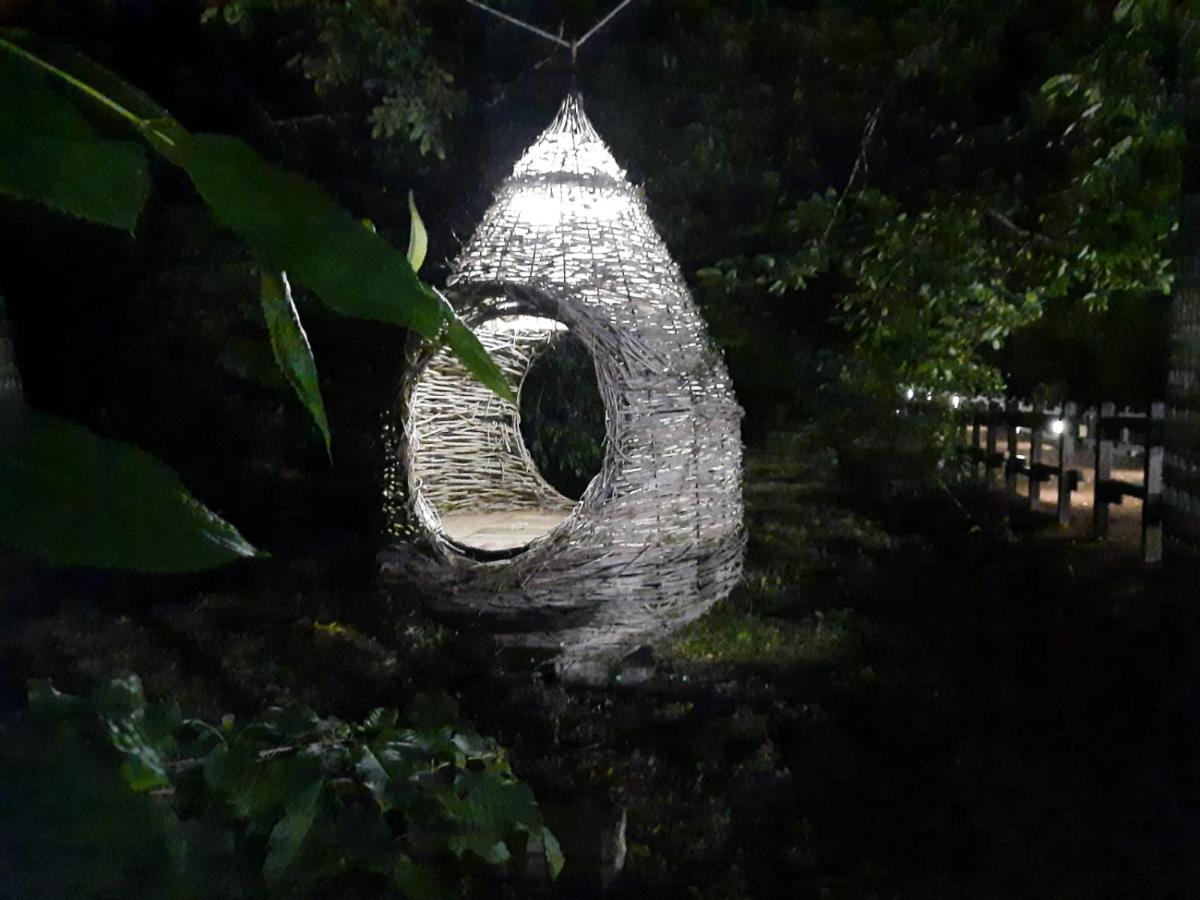 ブロンテ Casa Etnaヴィラ エクステリア 写真