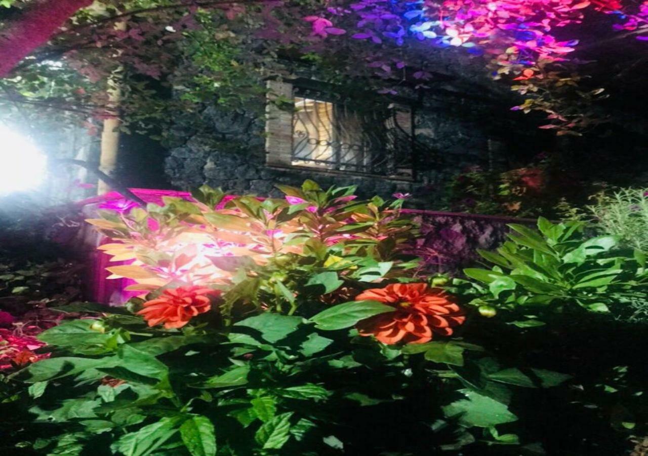 ブロンテ Casa Etnaヴィラ エクステリア 写真
