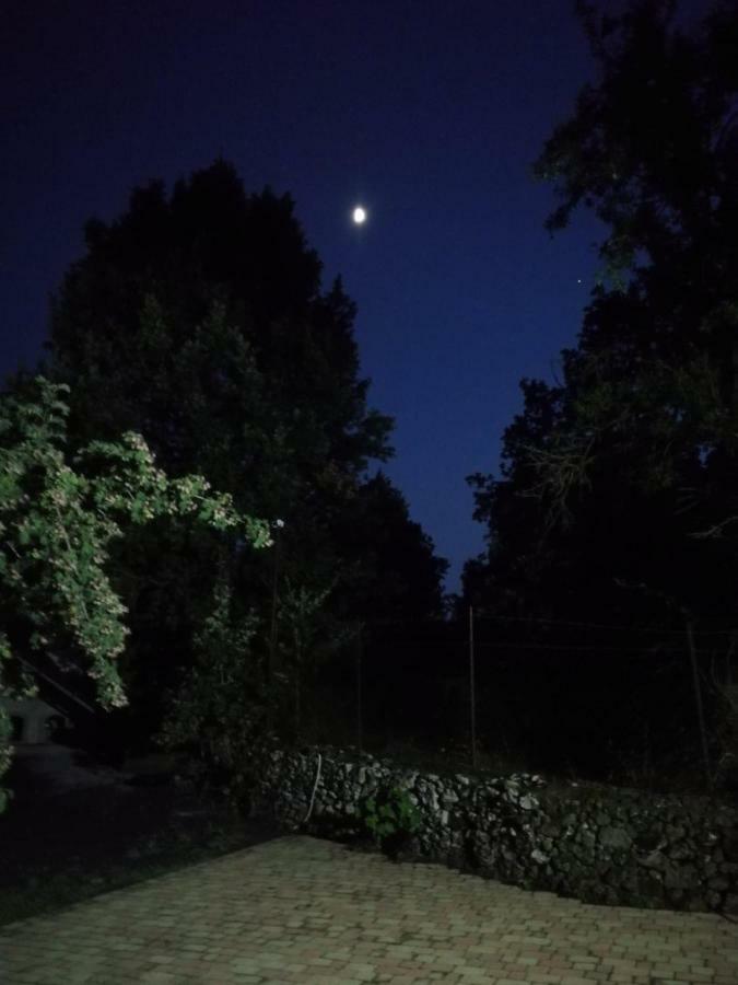 ブロンテ Casa Etnaヴィラ エクステリア 写真